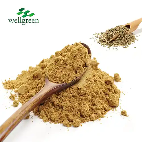 Fennel Seed Extract Powder